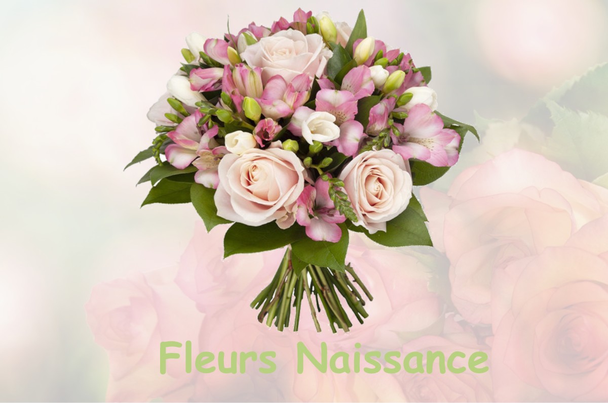 fleurs naissance ARANDAS